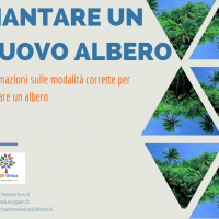 I Quaderni dell'ISEA - Piantare un nuovo albero